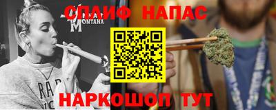прущие грибы Можайск