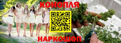 прущие грибы Можайск