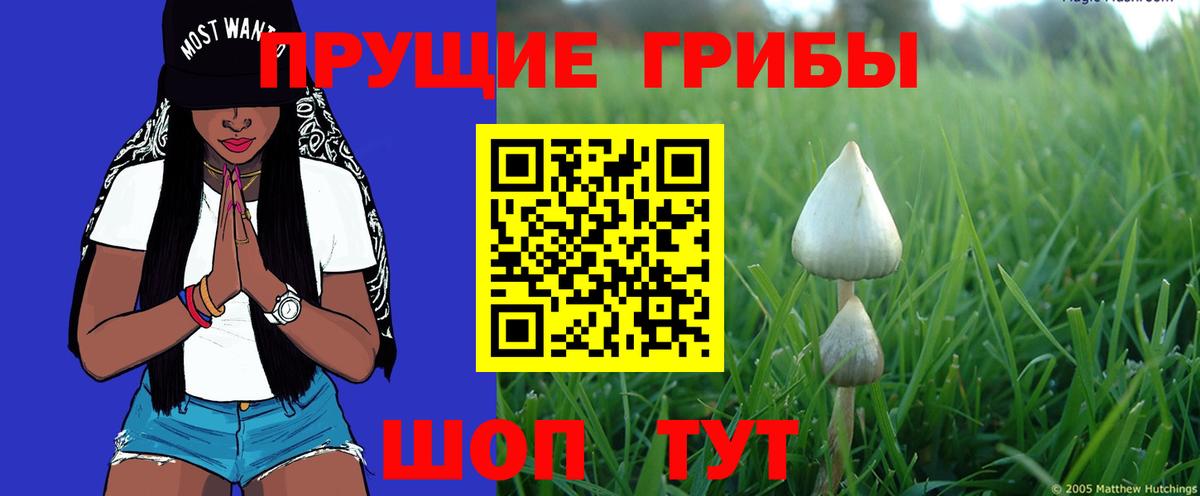Феодосия  Галлюциногенные грибы мицелий  как найти закладки  Вход с VPN 