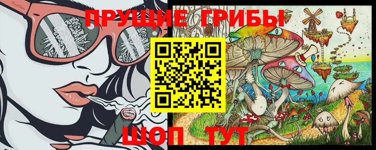 Псилоцибиновые грибы Psilocybe Феодосия